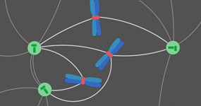 Mechanism of chromosomal instability