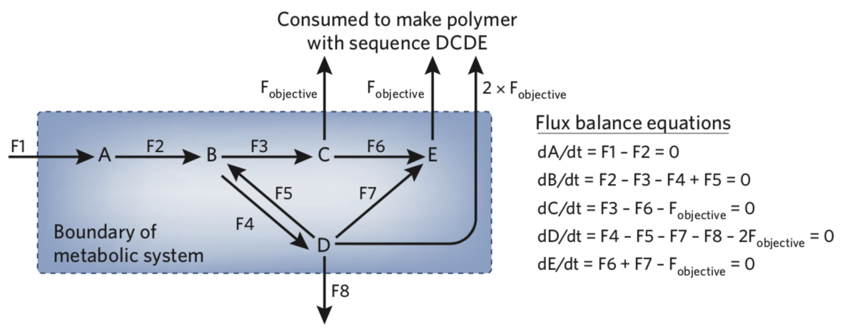 toy flux network