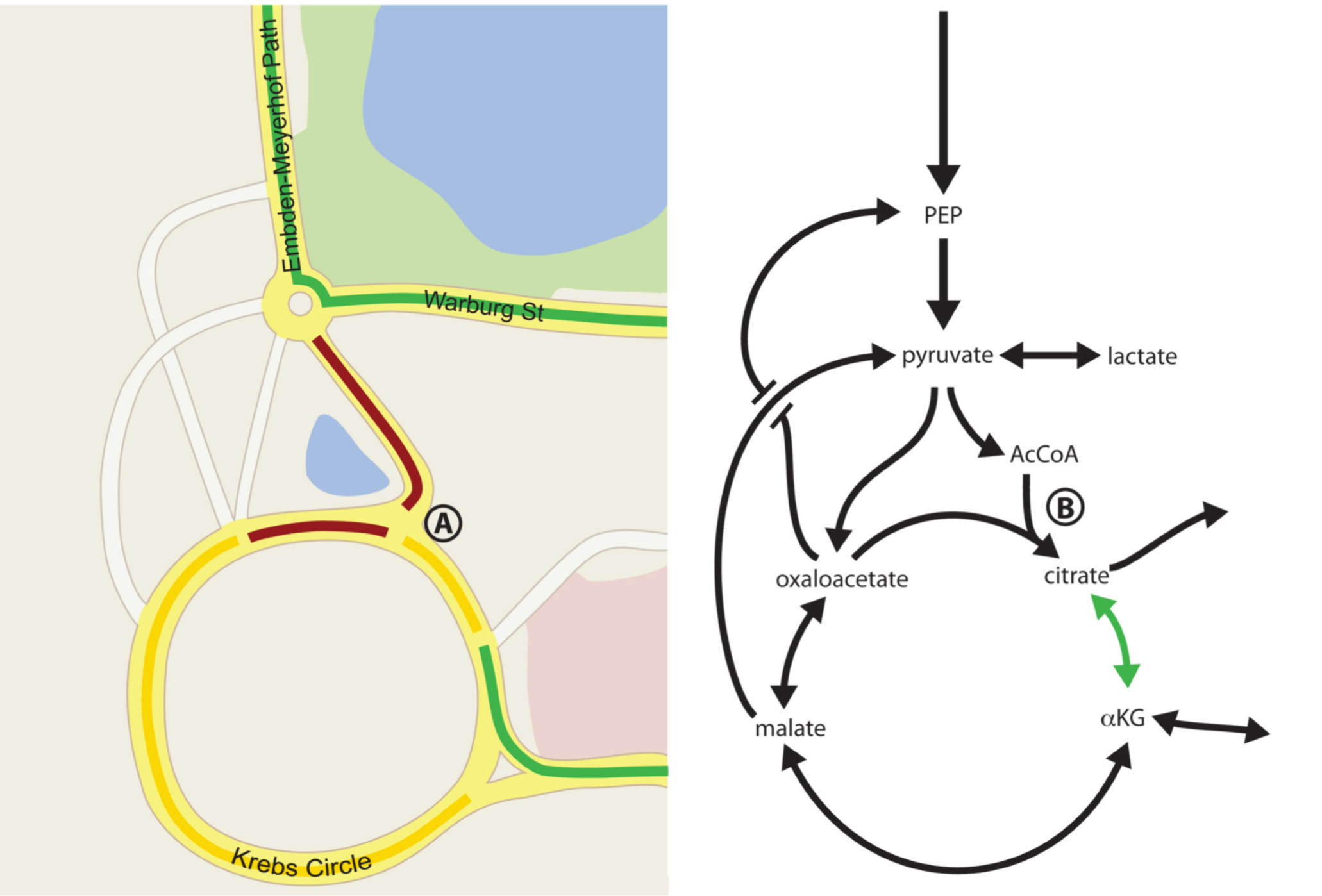 flux and traffic similarities